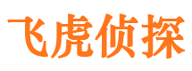 南岸市侦探调查公司